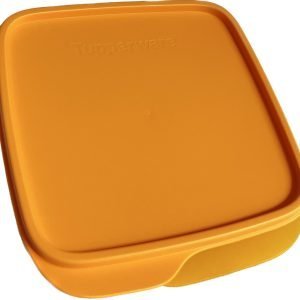 eco lunch tupperware