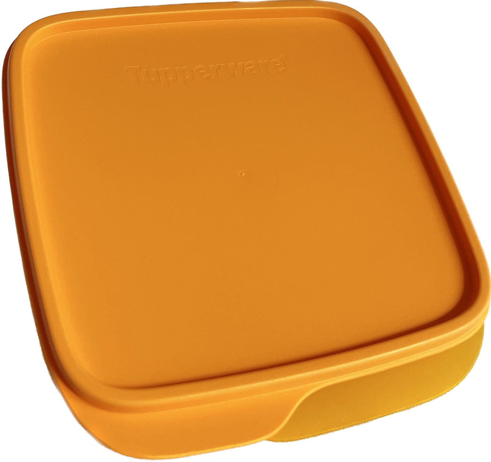 eco lunch mango 2 eco lunch tupperware
