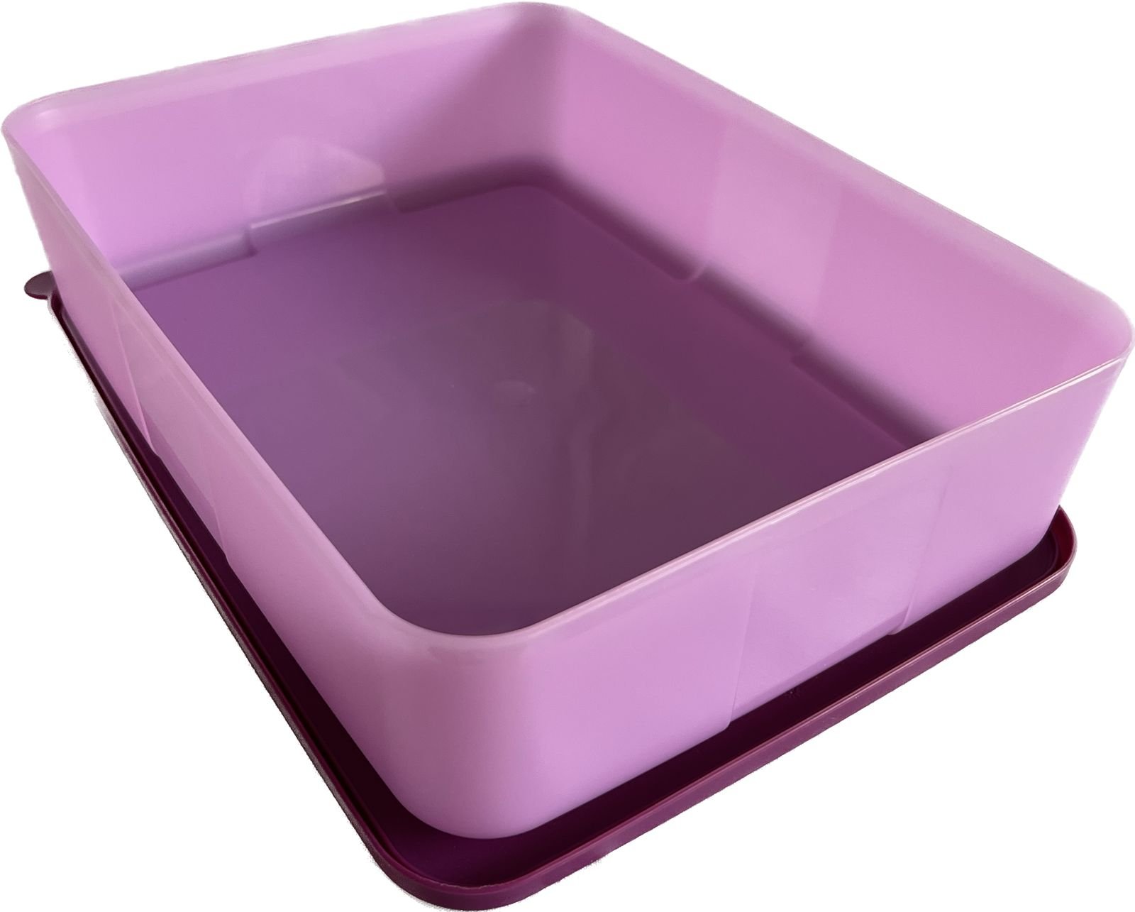 frigofechador grande #2 3.1 l violeta 2 frigofechador tupperware