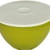 maxi mexicana tupperware