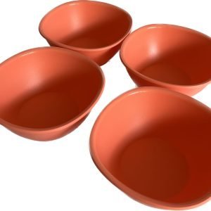 tazoncitos mexicana tupperware