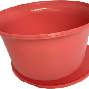 tazon aloja tupperware
