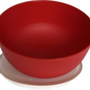 tazon blossom tupperware