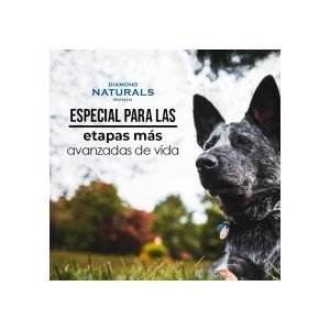 diamond naturals senior